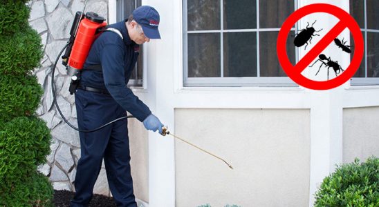 Palu Karınca İlaçlama böcek ilaçlama ve haşere kontrolü — ilaclama-tr.com
